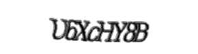 Security check image, please type the characters shown