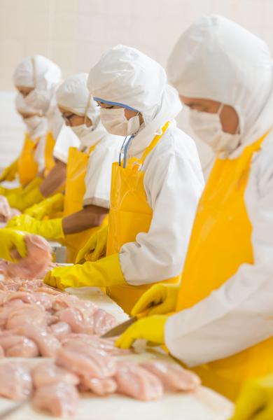 Group of people working at a chicken factory doing quality control