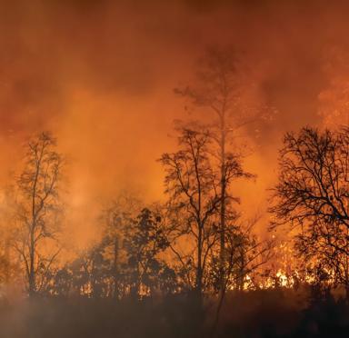 A sustainable solution for emergency power