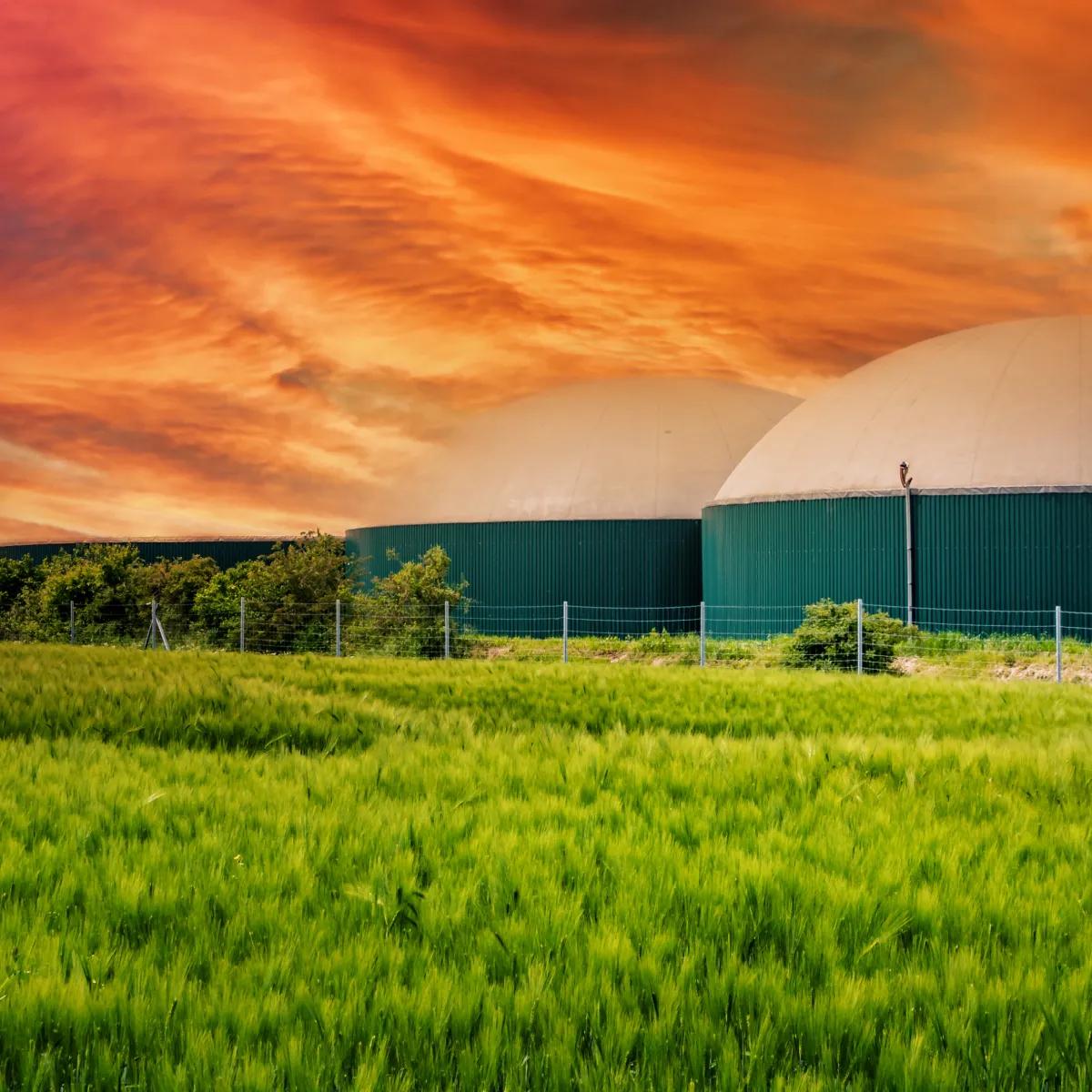 Green biogas containers against a vibrant sunset sky, with a field of green grass in the foreground.