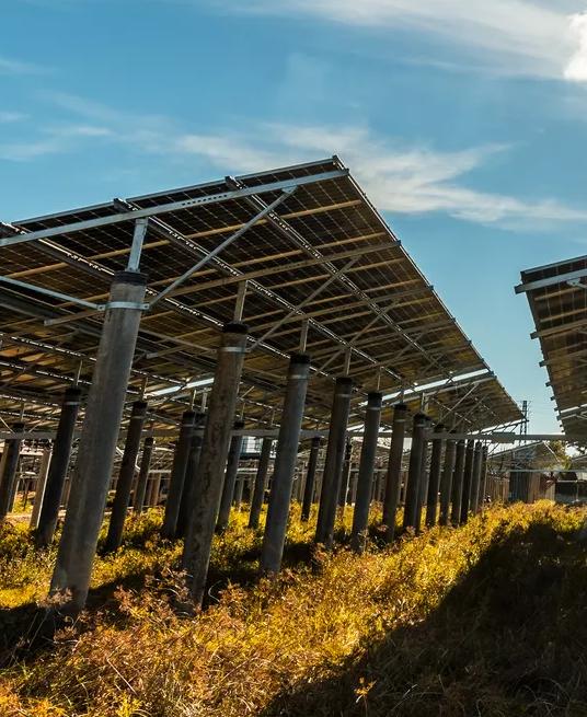 Ground view of multiple rows of solar panels under a blue sky.
