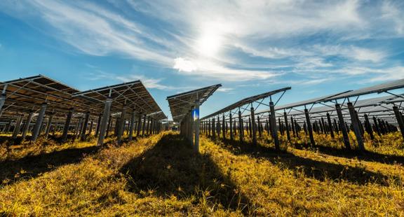 Ground view of multiple rows of solar panels under a blue sky.