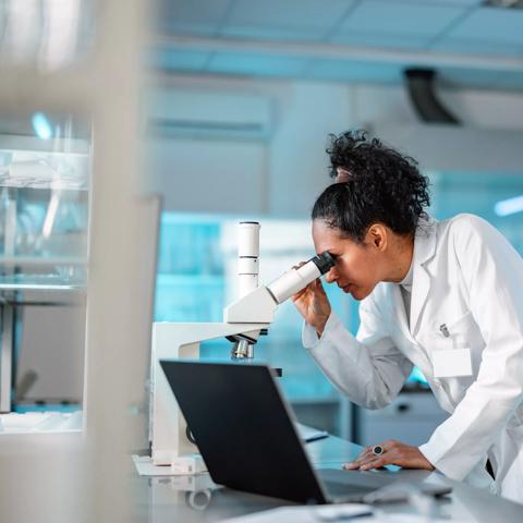 Young Hispanic scientist wearing a lab coat, looking under microscope while using laptop in a laboratory.