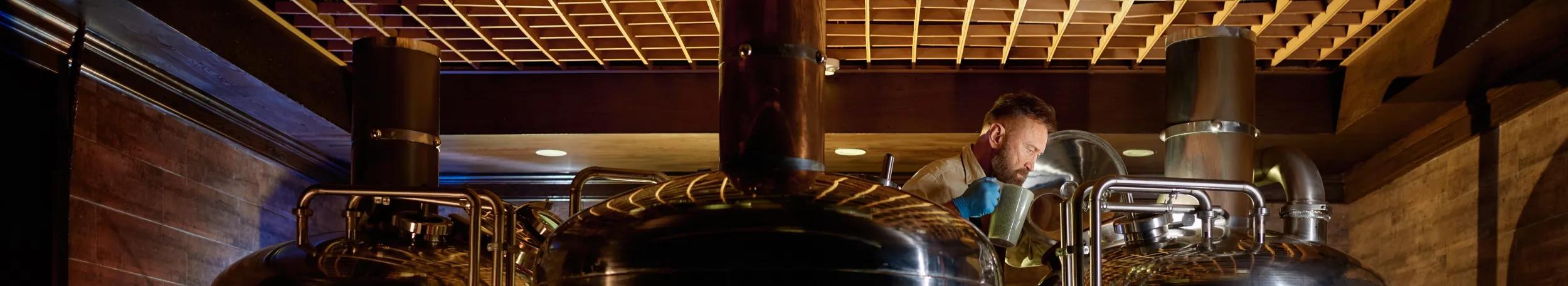 Equipment for the preparation of beer