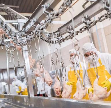 How to Keep Food and Beverage Workers Safe In Hot Workspaces