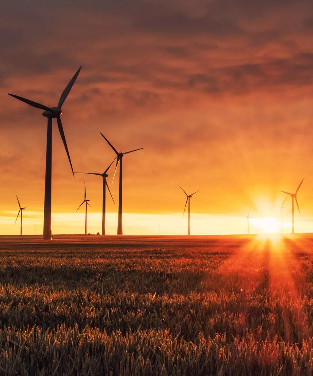 Multiple wind turbines scattered on a field against a sunset sky