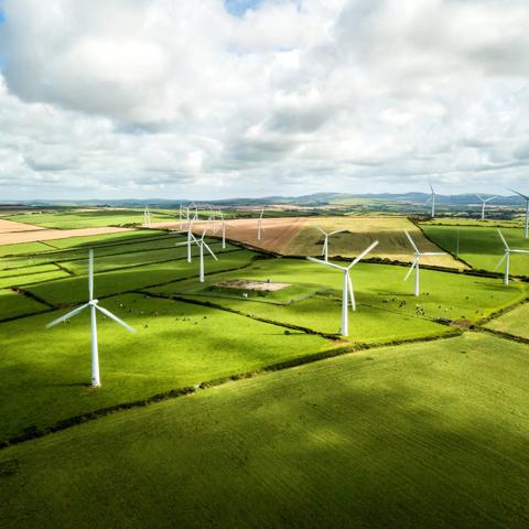 Wind turbine fields in Cornwall