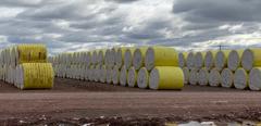 2021-09-Carroll%20Cotton-middle%20banner%203.jpg
