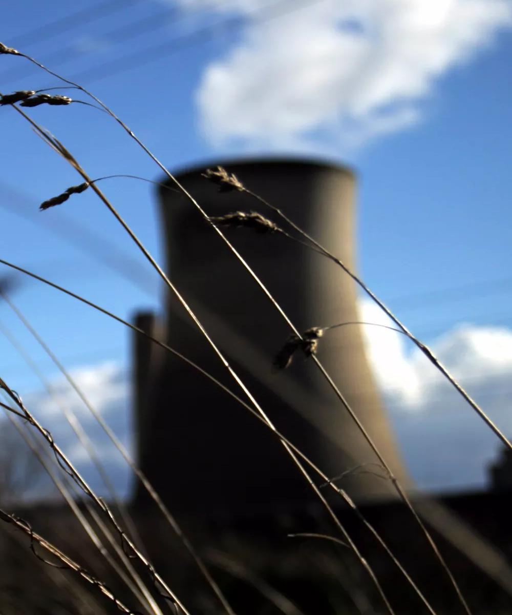 Close up of two large cooling towers in the background, viewed through tall blades of grass in the foreground.