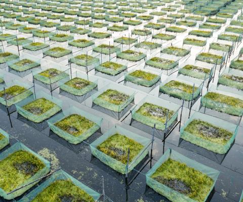 GettyImages-1303011044