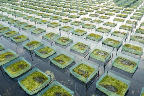 GettyImages-1303011044