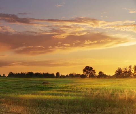 Beautiful sunset with dramatic sky over agricultural field.