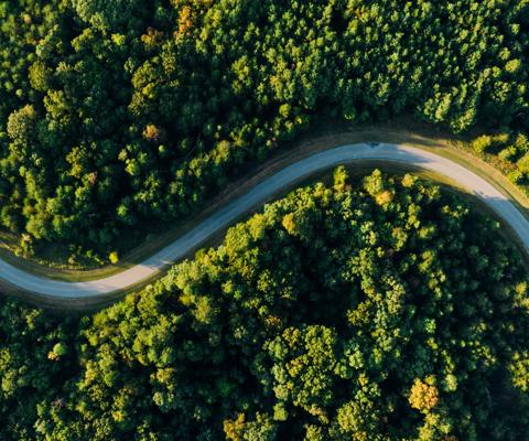 Aerial view of a winding road surrounded by lush green trees and forest.