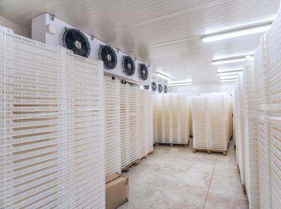 Stacked meat and burger packs are at -30 degrees celcius in a meat processing factory. Big Industrial refrigerator or dryer for any kind of food, meat, fruit or vegetable. From -10 to -80 degrees celcius.