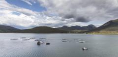 2017Jan-scotland-skye-fish-farm-loch-ainort-see-boats-food_beverage