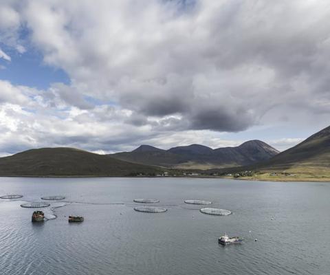 2017Jan-scotland-skye-fish-farm-loch-ainort-see-boats-food_beverage