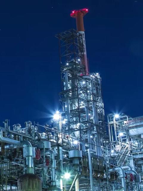 turnaround project foresight