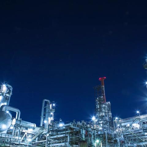 turnaround project foresight