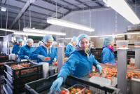 solve seasonal production challenges and maintain winter like production levels