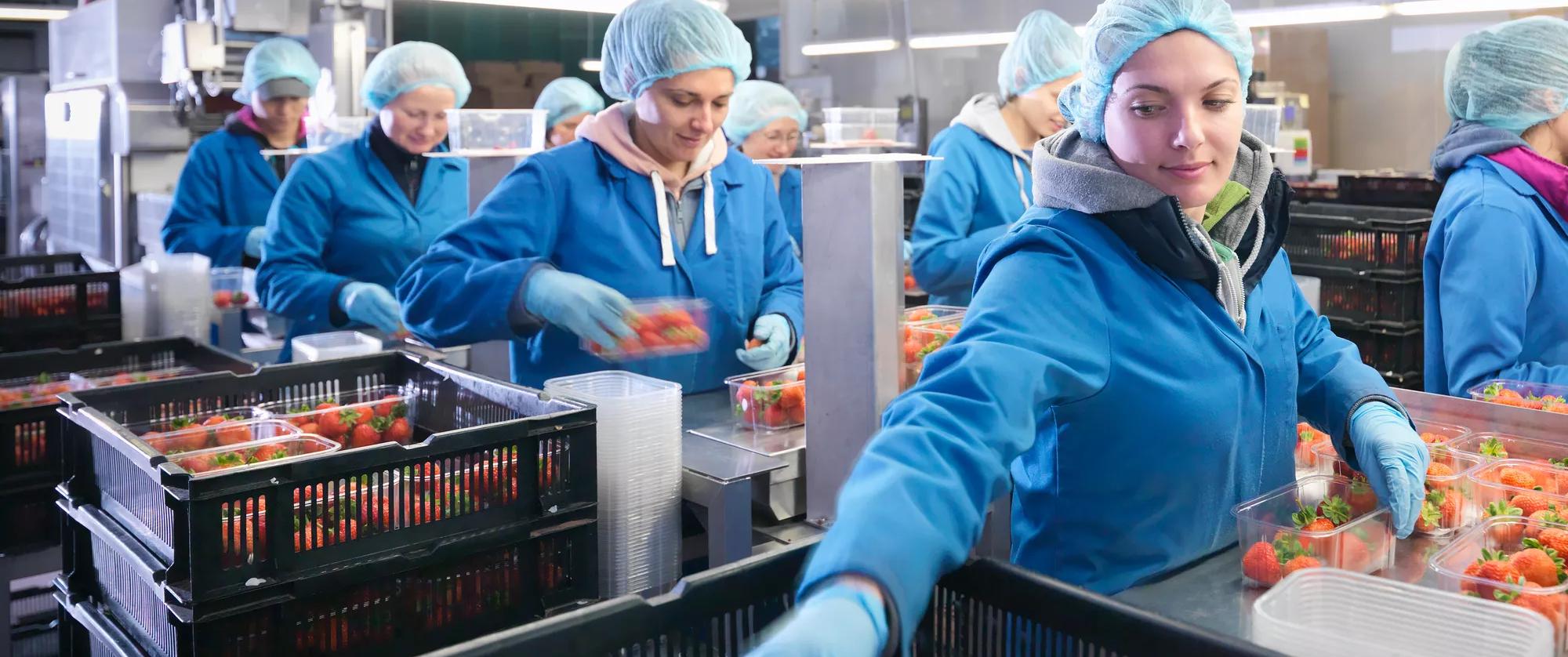 solve seasonal production challenges and maintain winter like production levels