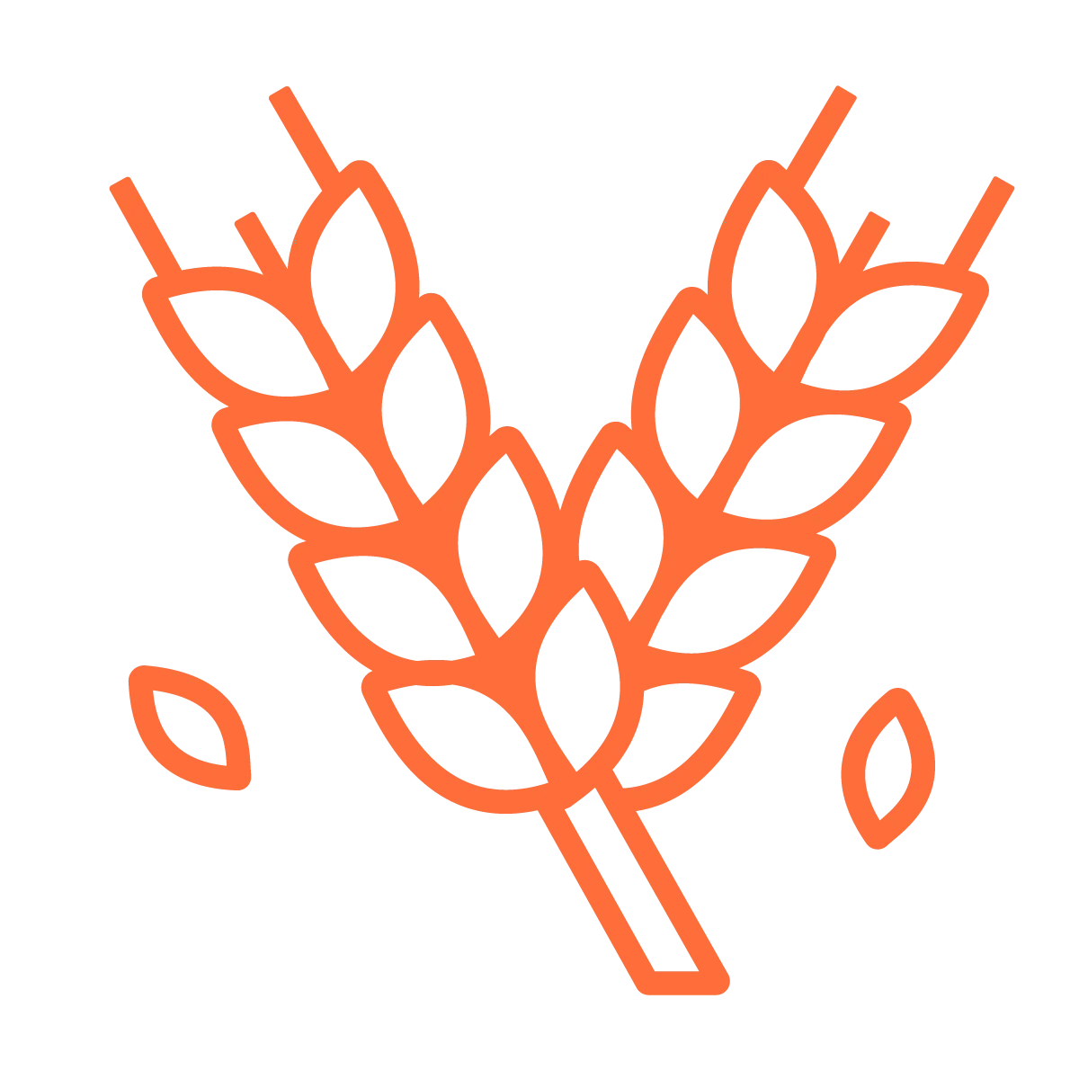 Orange icon of 2 wheat stalks.