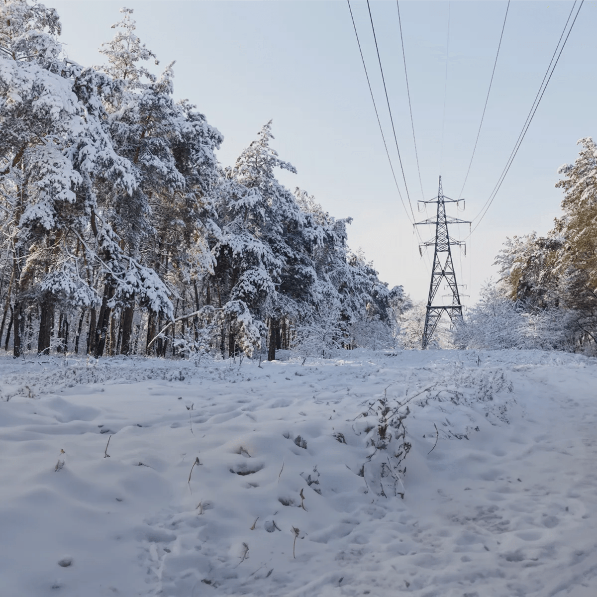 Utility transmission and distribution lines in winter storm season