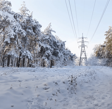 A snowy forest scene with tall, frosted trees lining a path, and a pylon in the background against a clear sky