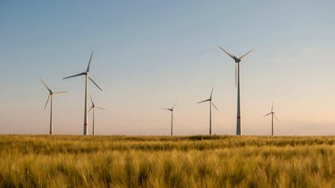 Default images for homepage redesigns - sectors