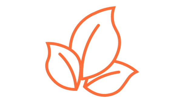 Greener-Icon-nam-005