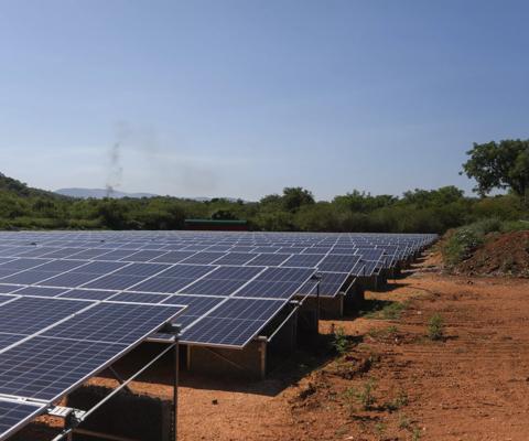 Solar panels in the African bush.