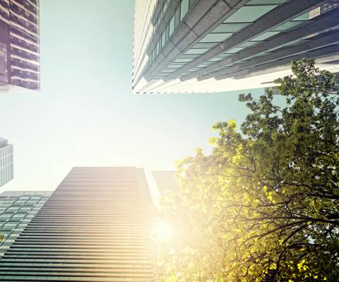 Images from innovation playbook 2020'