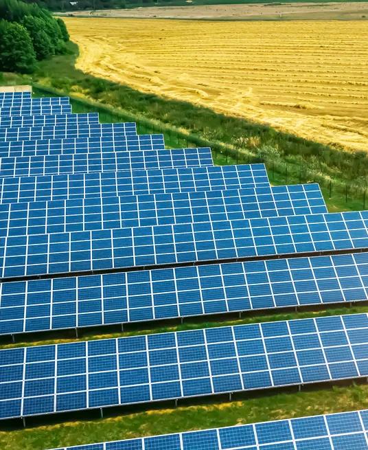 Aerial view of multiple horizontal rows of solar panels. 