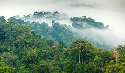 Transición energética reduciendo la huella de carbono en Colombia