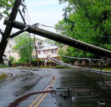 A downed utility pole with wires on a wet road, surrounded by greenery and a house in the background.