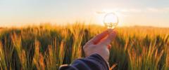 A hand holds a lightbulb in a sunlit field, capturing the sunset against golden grass and blue sky.