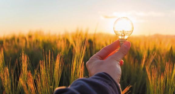 A hand holds a lightbulb in a sunlit field, capturing the sunset against golden grass and blue sky