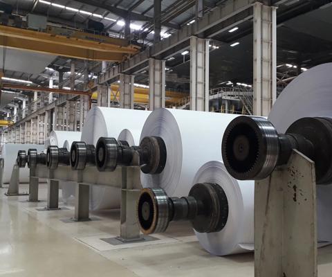 Machines for the production of paper rolls and roll of white paper in modern paper cutting machine