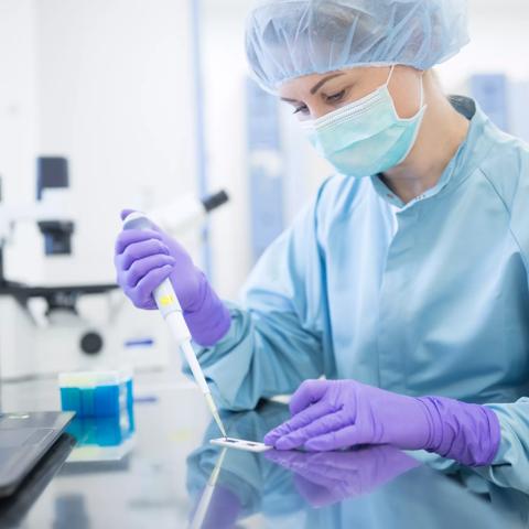 Preparation of check samples of stems in laboratory for drug production