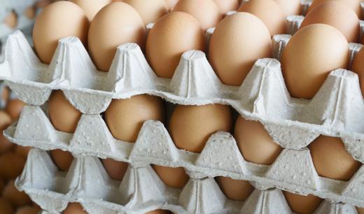 Breakfast, Egg, Food, Thailand, Chicken - Bird