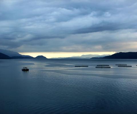 Fish farms in Hardanger fjord, Hordaland county, Norway