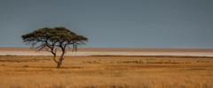 2011Sep-namibia-safari-wildlife-arid-africa-botswana-mining