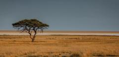 2011Sep-namibia-safari-wildlife-arid-africa-botswana-mining