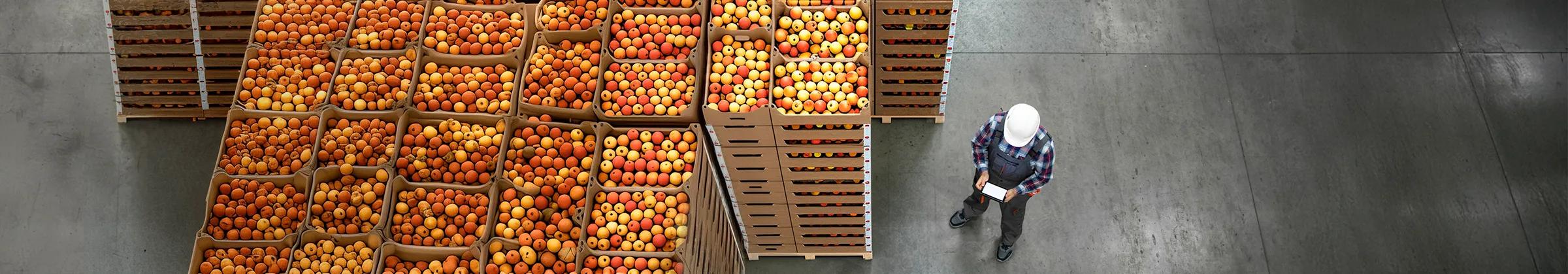 Aerial photo of a man standing in a cold food storage facility