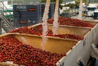 solve seasonal production challenges and maintain winter like production levels