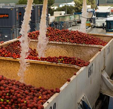How to Stop Bacteria Growth from Ruining Your Food Products
