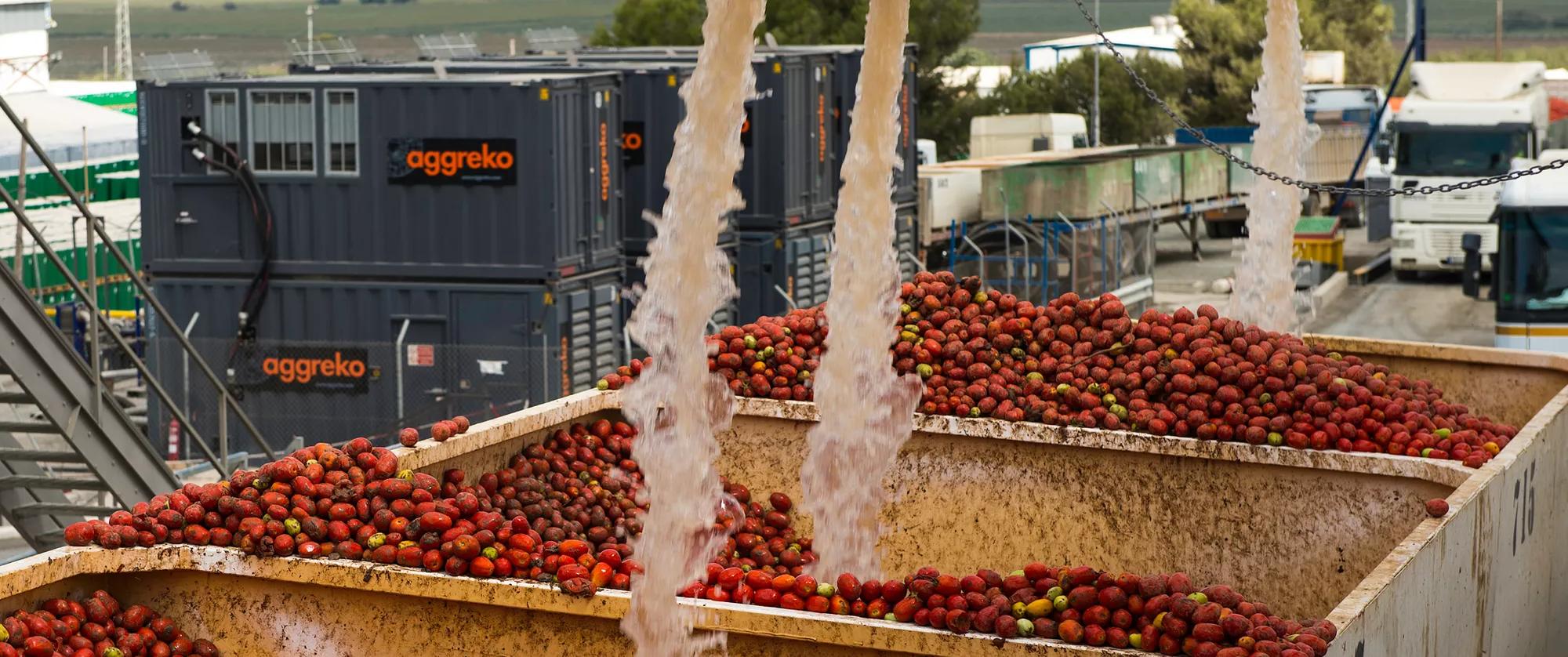 solve seasonal production challenges and maintain winter like production levels