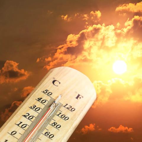 Understanding heatwaves