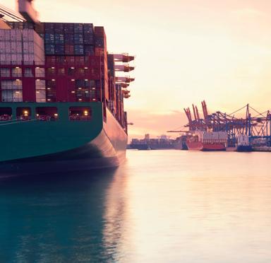 Germany, Hamburg, freight ships at Waltershofer harbour