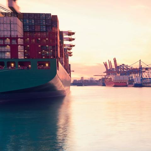 Germany, Hamburg, freight ships at Waltershofer harbour