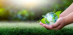 Concept of earth protection day or environmental protection hands to protect the growing forest